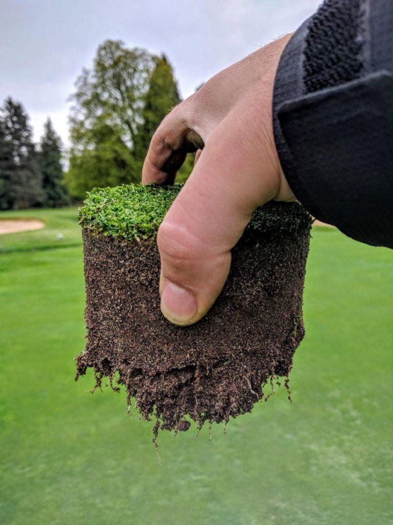 Thatch Management in Performance Turfgrass