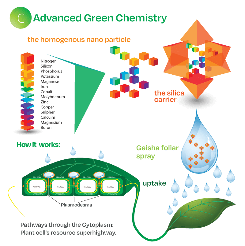 Advanced Green Chemistry - the homogenous nano particle and how it works