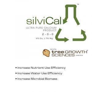 SilviCal - Magnesium & Calcium Boost from Eco Health Industries
